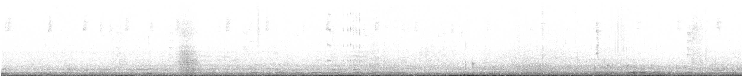 Slender Sheartail - ML623015080