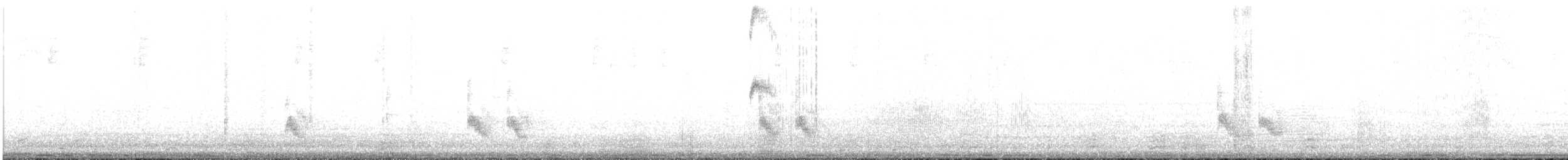 Slender Sheartail - ML623015081