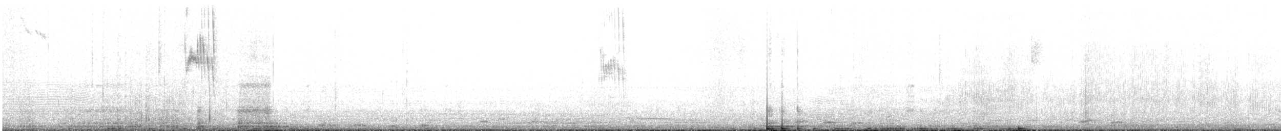 Slender Sheartail - ML623015082