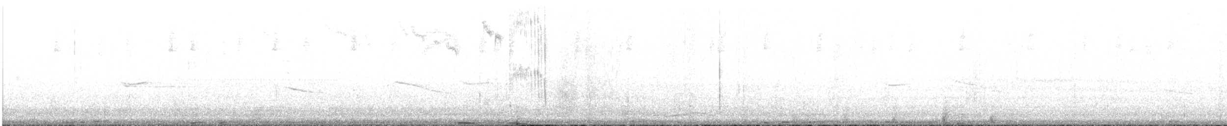 Slender Sheartail - ML623015083