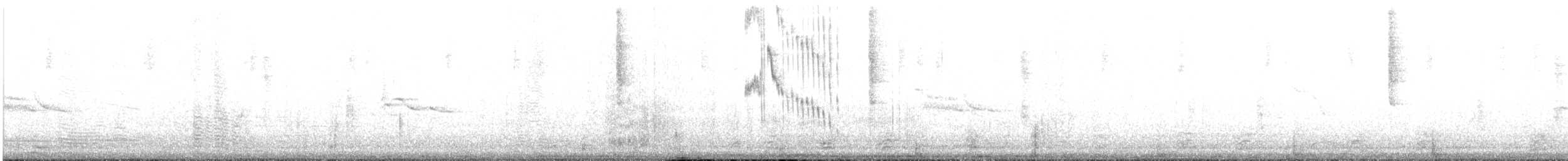 Slender Sheartail - ML623015084