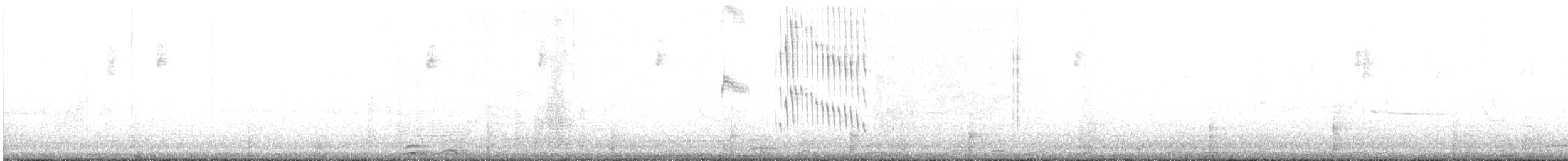 Slender Sheartail - ML623015087