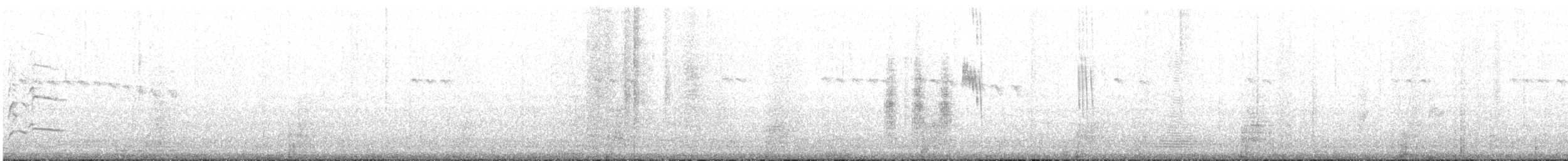 Slender Sheartail - ML623015092