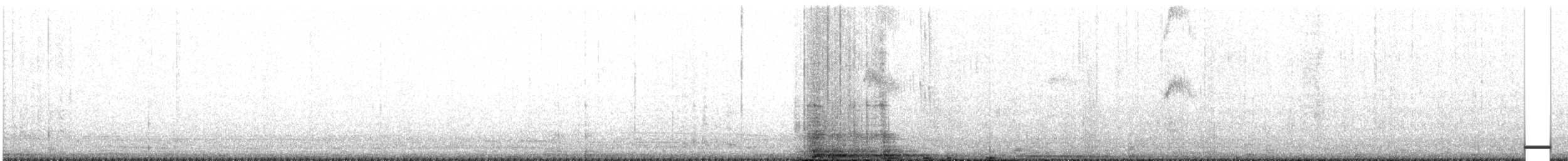 Slender Sheartail - ML623015093
