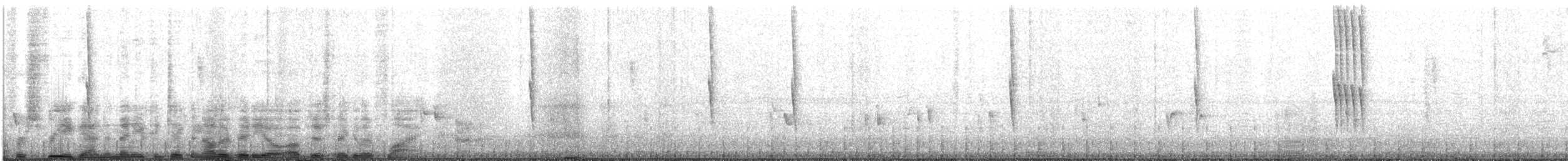 Slender Sheartail - ML623015094