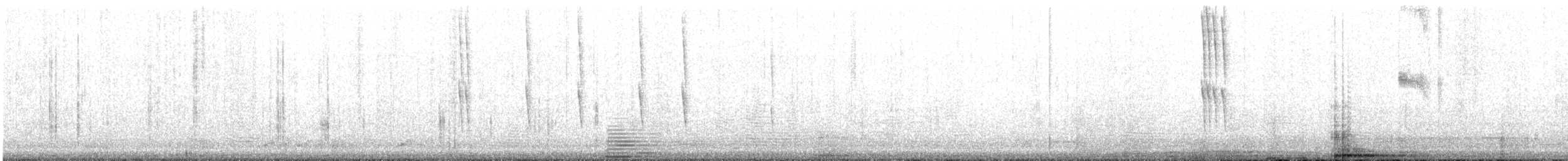 Slender Sheartail - ML623015097