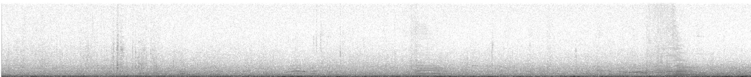 Slender Sheartail - ML623015223
