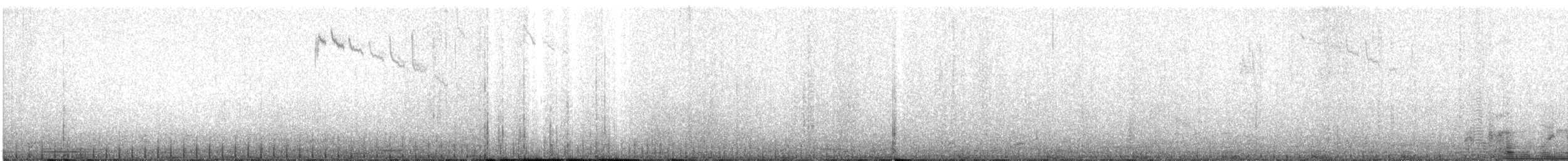 Slender Sheartail - ML623015225