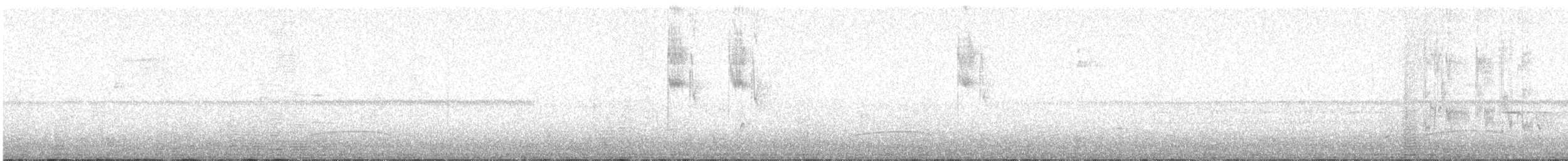 Sparkling-tailed Hummingbird - ML623015320