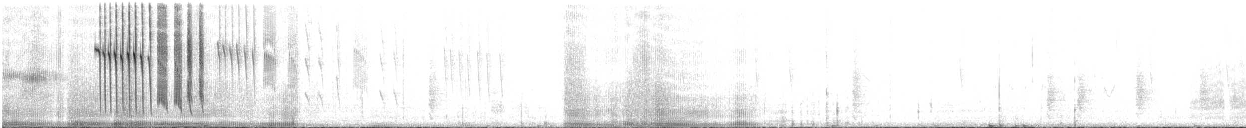 Lucifer Hummingbird - ML623017657