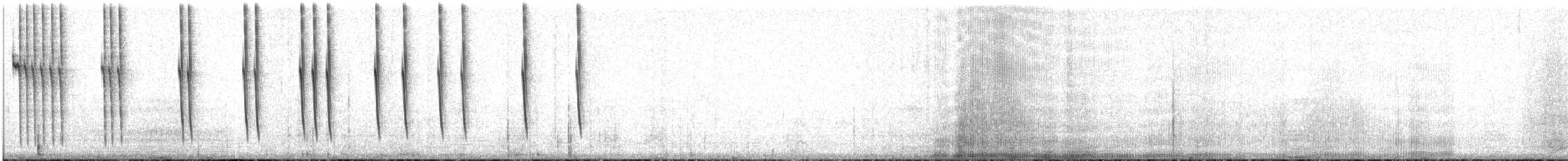 Lucifer Hummingbird - ML623017664