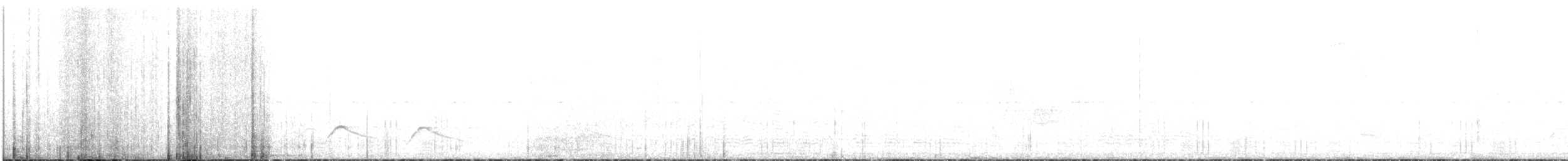 Lucifer Hummingbird - ML623017835