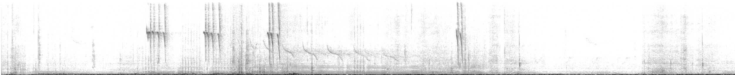Lucifer Hummingbird - ML623017836