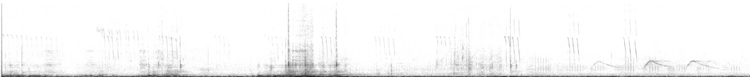 Lucifer Hummingbird - ML623017838