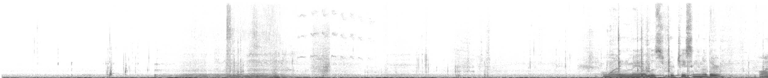 Lucifer Hummingbird - ML623017914