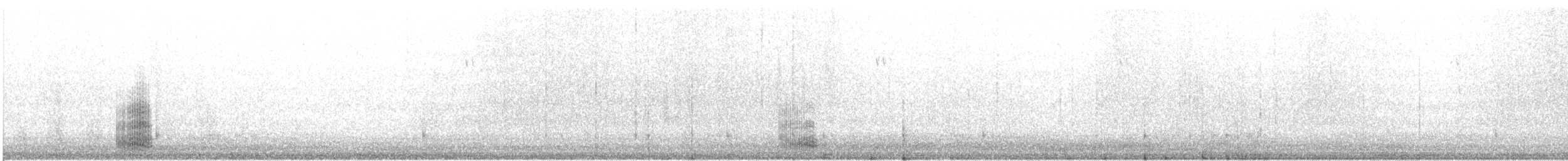 raven sp. - ML623023021