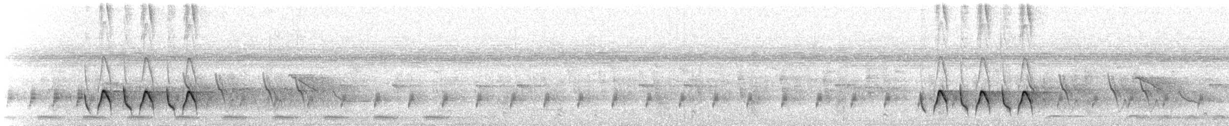 Mégalure de Lopes (groupe lopezi) - ML623024983