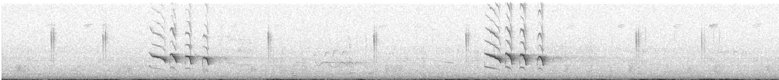 Чагарниця біловуса - ML623028436