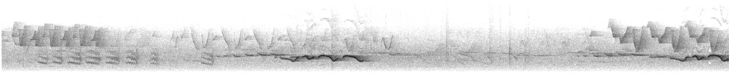 brunstripegittervinge - ML623028569