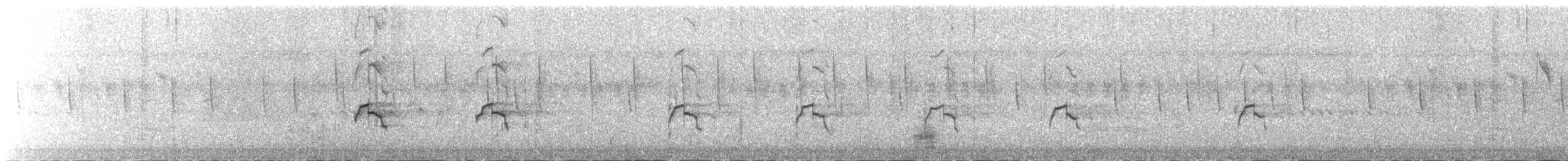 Black-winged Stilt - ML623033352