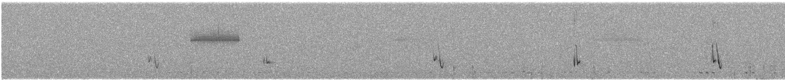 Bourke's Parrot - ML623035170