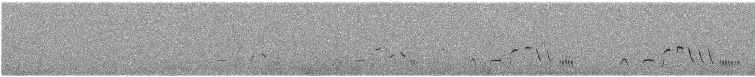 Rufous Fieldwren - ML623036071