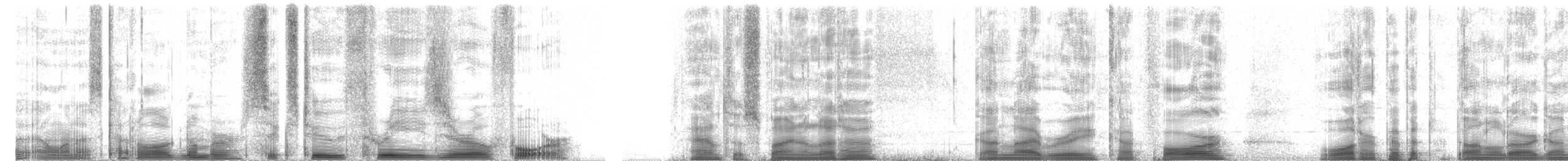 American Pipit - ML62304