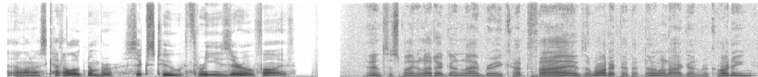 American Pipit - ML62305