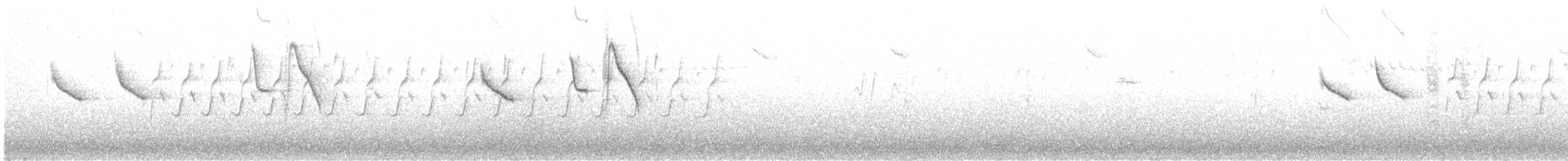 Chestnut-rumped Thornbill - ML623051987