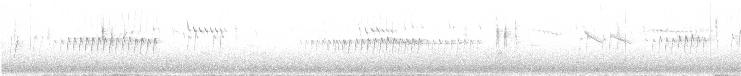 Acanthize blanchâtre - ML623051991
