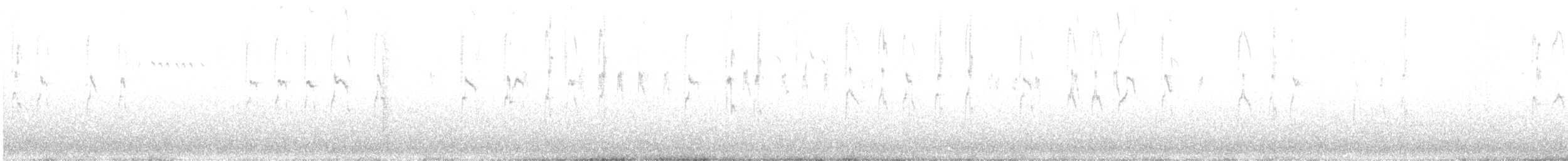 Varied Sittella - ML623052016
