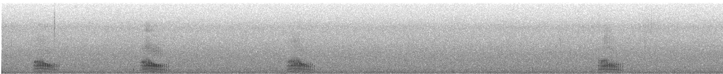Plongeon du Pacifique - ML623057766