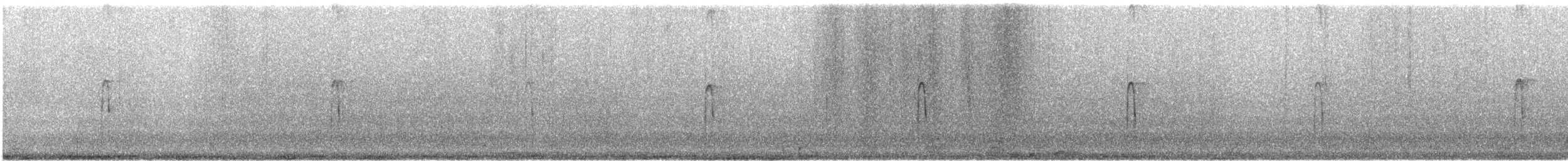 Hairy Woodpecker - ML623072883