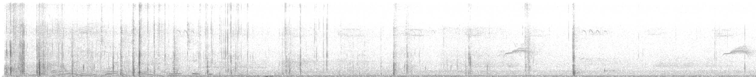 Western Wood-Pewee - ML623074020
