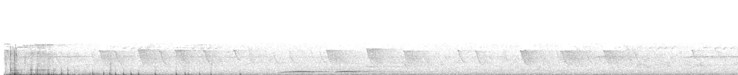 sovka statná - ML623079936