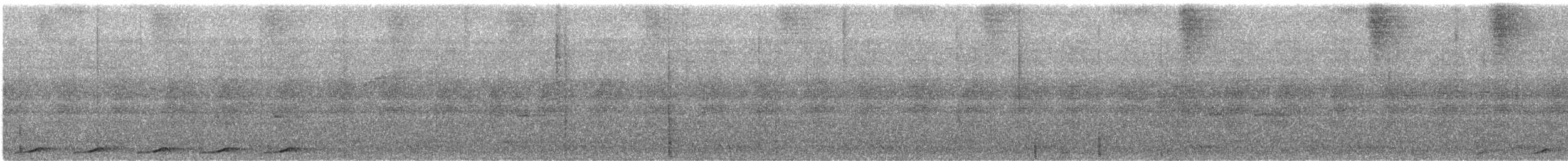 Little Cuckoo-Dove - ML623084498