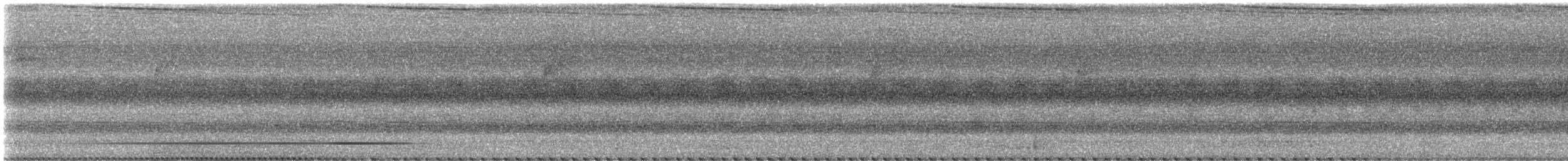 Malaysian Rail-babbler - ML623084947