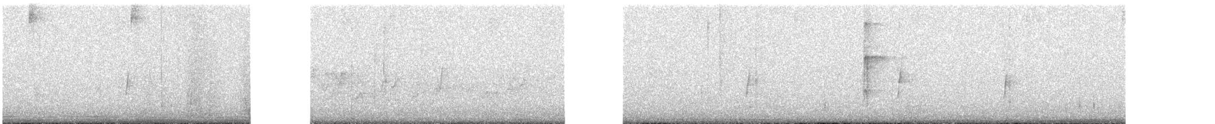 メジロハエトリ属 - ML623089485