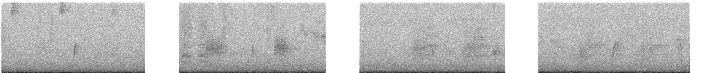 メジロハエトリ属 - ML623089486