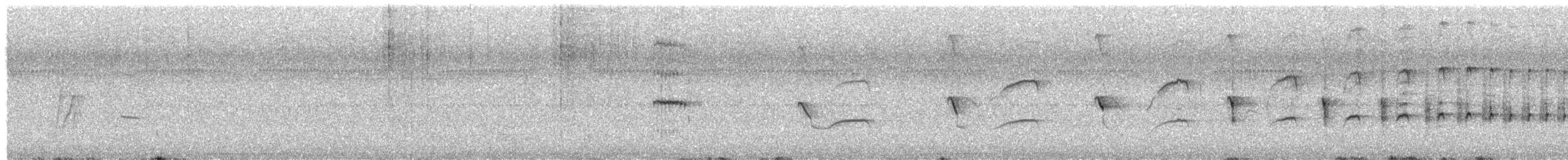 Buco Rayado (striata) - ML623089722