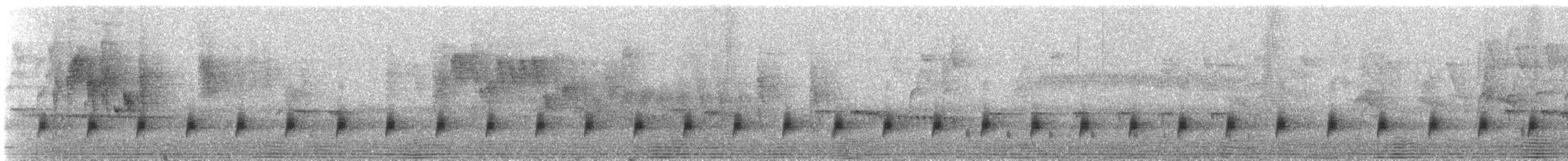 Apalis cendrée (sclateri) - ML623091572