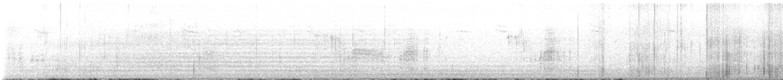 Acorn Woodpecker - ML623093237
