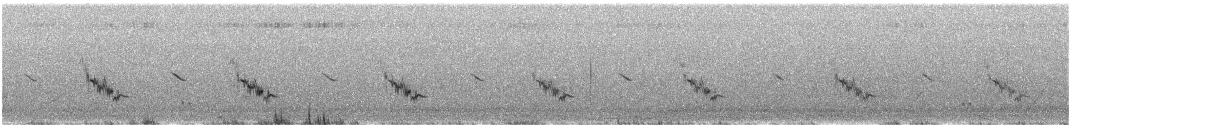 Chirruping Wedgebill - ML623095792