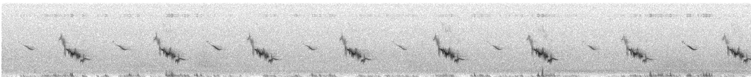 Chirruping Wedgebill - ML623095793