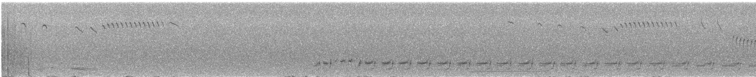 Short-tailed Grasswren - ML623096381