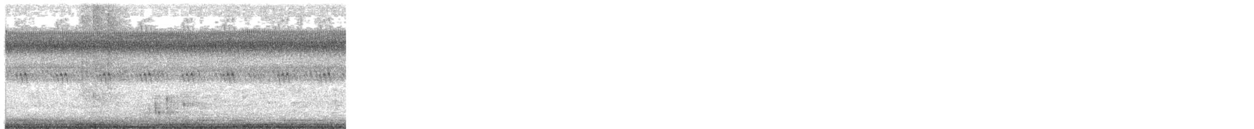 Black-billed Cuckoo - ML623096872