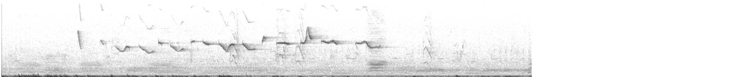 Salpornis tacheté - ML623099962