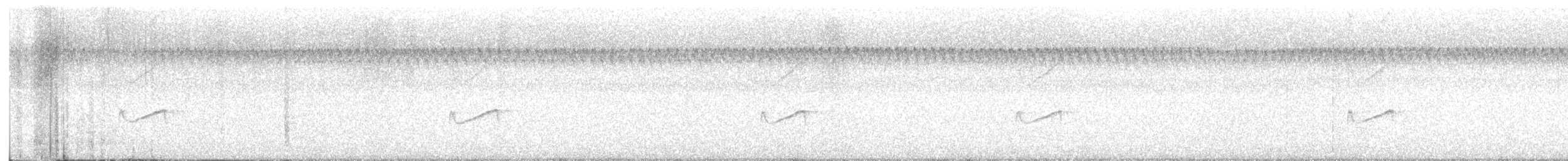 Yellow-bellied Flycatcher - ML623101548