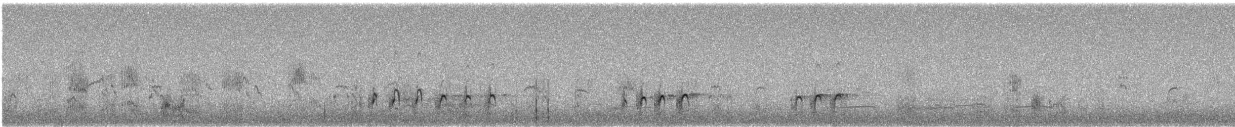 コシャクシギ - ML623102551