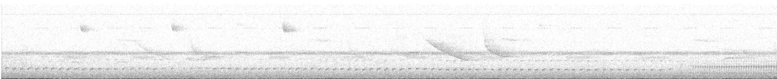 Stiles's Tapaculo - ML623103965